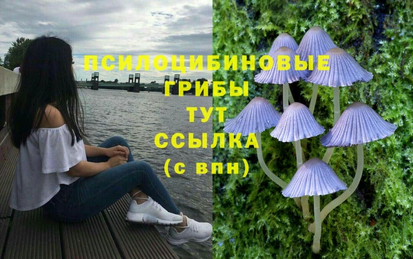 мдма Бородино
