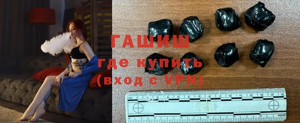 амф Гатчина