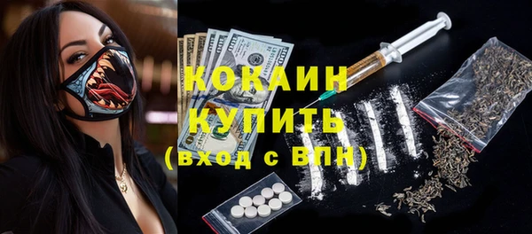 амф Гатчина