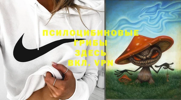 марки lsd Нязепетровск