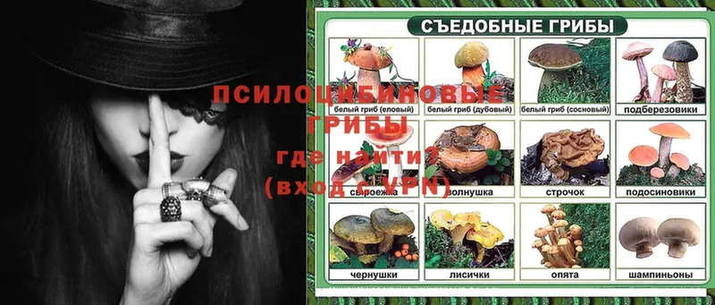 Псилоцибиновые грибы MAGIC MUSHROOMS  Красновишерск 